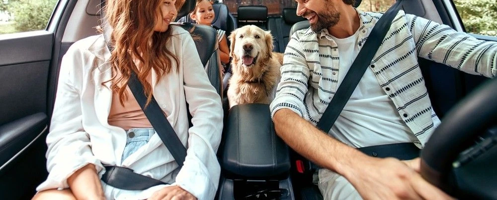 Co zabrać w podróż samochodem? – mytracko.pl